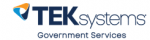 TEKsystems Government Services